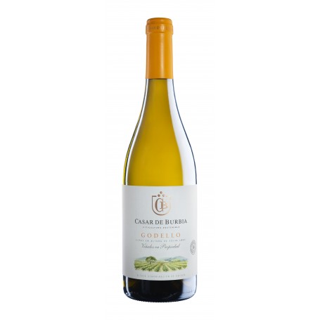CASAR GODELLO 